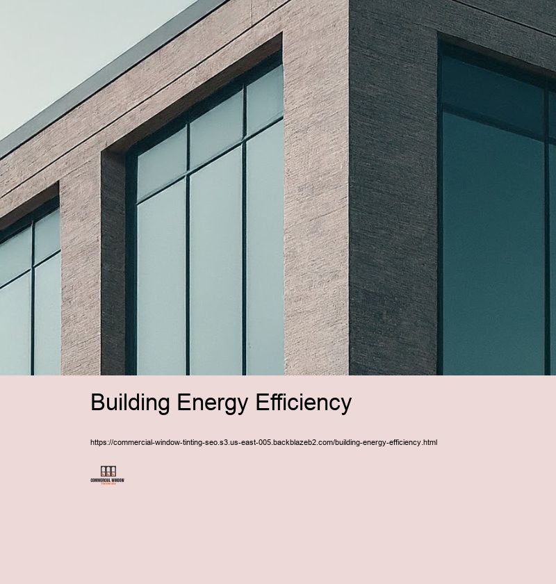 Building Energy Efficiency