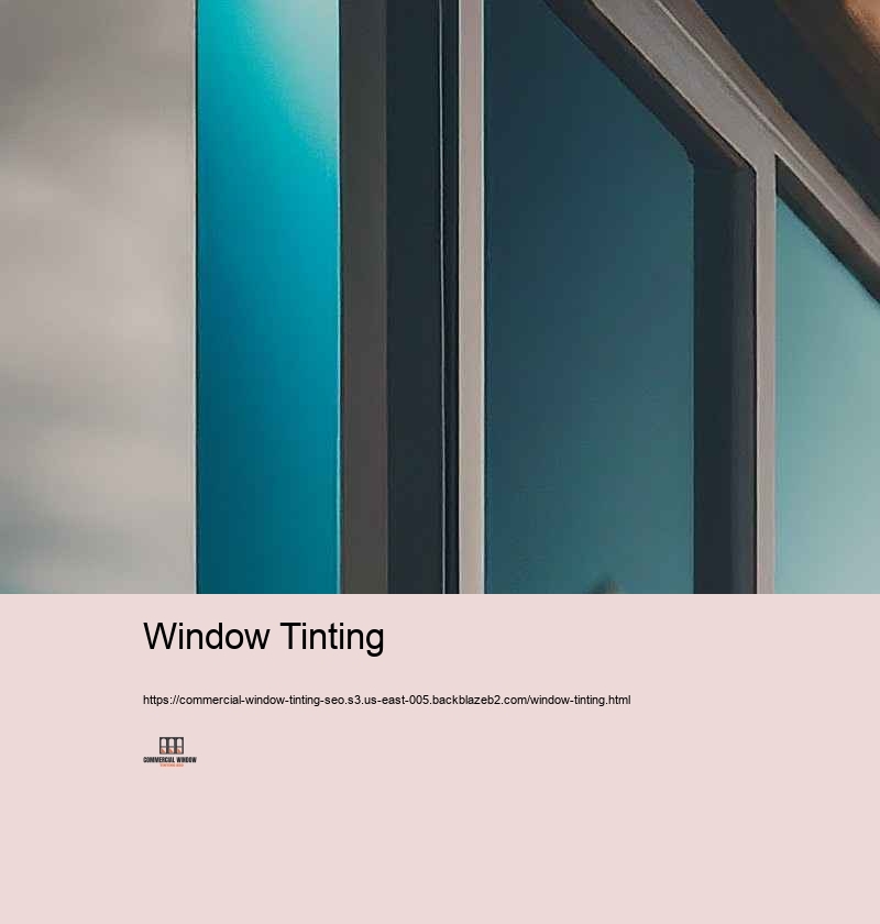 How to Make the most of Your Website for Company Home Home window Tinting Carriers